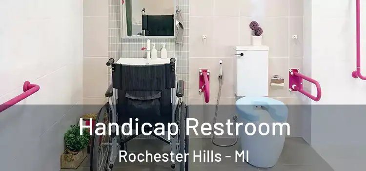 Handicap Restroom Rochester Hills - MI