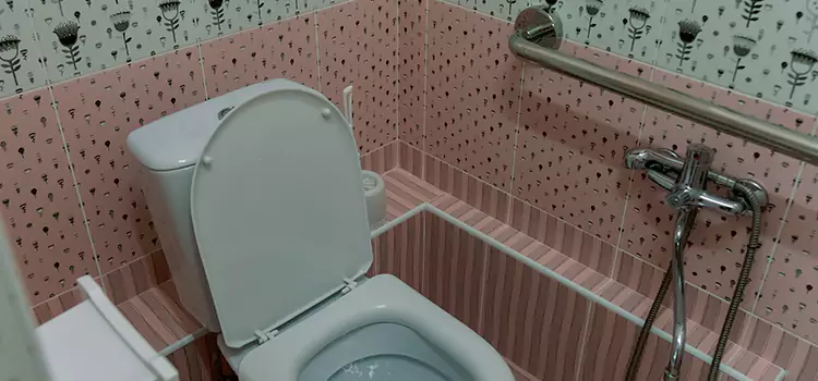 Meeting Diverse Needs With Accessible Restroom Solutions in Rochester Hills, MI
